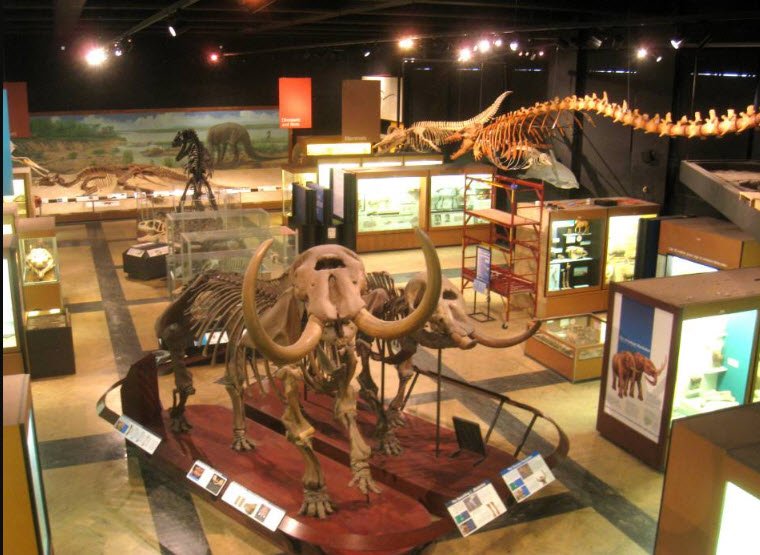 Regional Museum of Natural History Mysuru, India